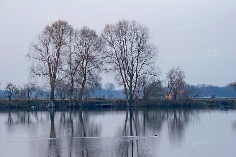 Evening mood at Moosinninger Weiher, quarry pond, fishing pond for carp, reflection of the trees on the shore, smooth calm water, Moosinning in Erdinger moss, Erding, Upper Bavaria, Bavaria, Germany