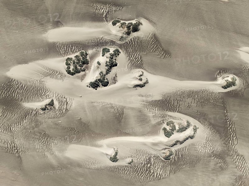 Small sand heaps form around the sparse vegetation in the Namib Desert. Aerial view. Drone shot. Skeleton Coast National Park, Namibia