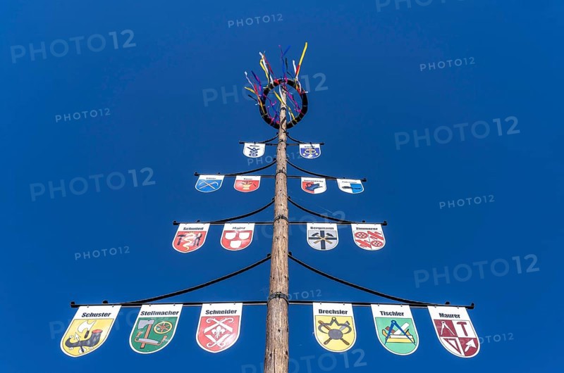 Guild tree, guild tree, guild sign, coat of arms of the various trades, in the Hochsauerlandkreis, Niedersorpe, district of Schmallenberg, North Rhine-Westphalia, Germany