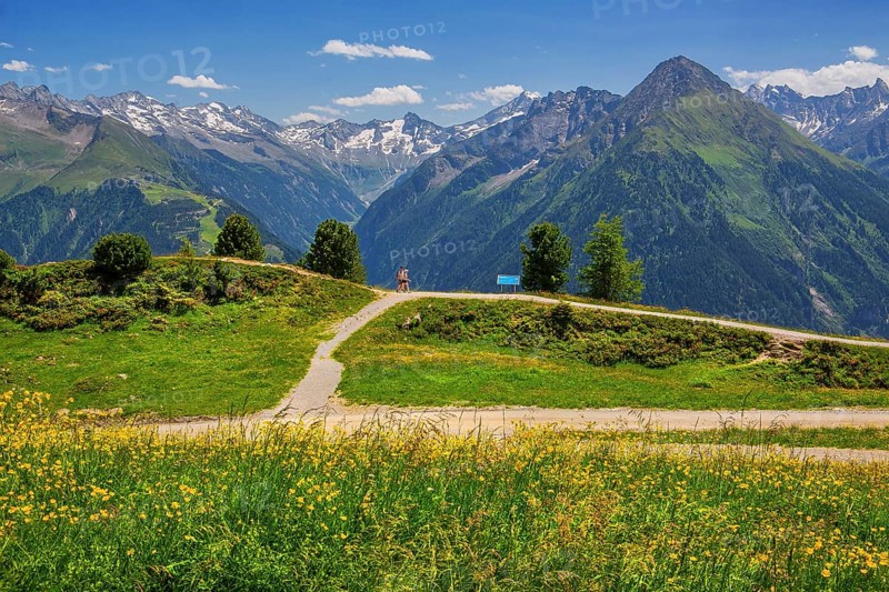 Hiking trail on the Penken with a view of the Stilluptal, Mayrhofen, Zillertal, Zillertal Alps, Tyrol, Austria