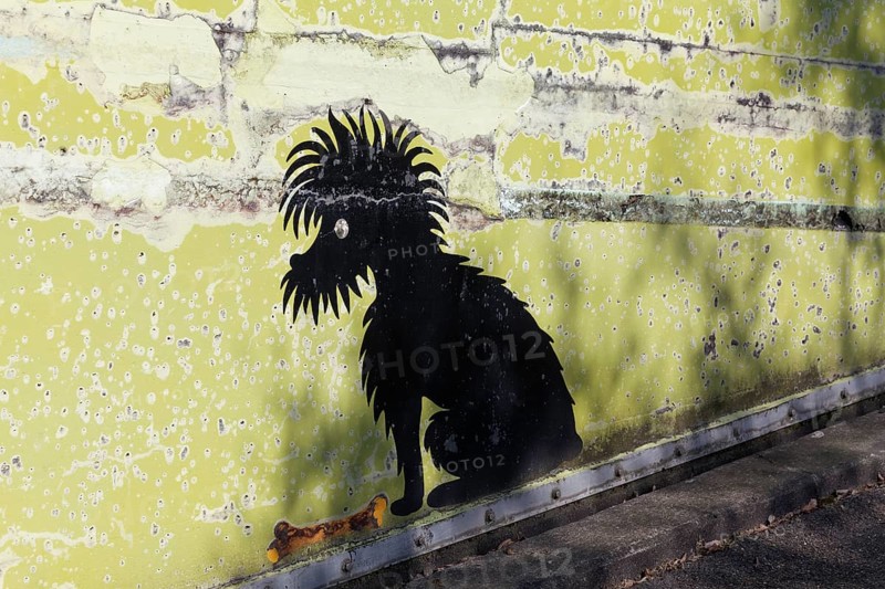 Black dog with bone, funny mural at Cologne Zoo car park, graffiti, Cologne, North Rhine-Westphalia, Germany