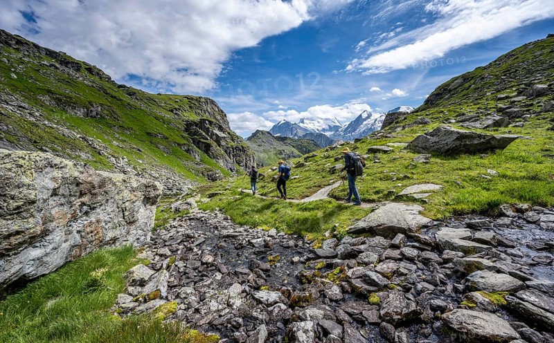 Mountaineers on a hiking trail along a mountain stream in a mountain landscape, descent at Col du Louvie, view of glaciated mountain peaks of the Grand Combine, Valais Alps, Val de Bagnes, Valais, Switzerland
