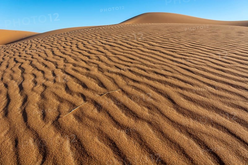A sandy desert with a blue sky in the background. The sand is ribbed and has a slight slope. Merzouga, Errachidia, Draa-Tafilalet, Morocco