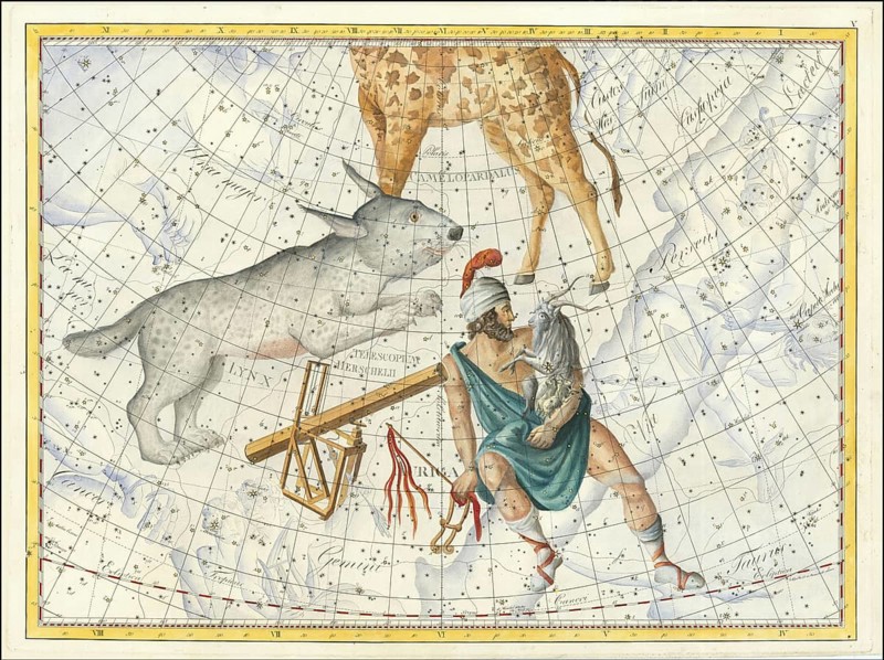 Sign of the zodiac, lynx, telescope, Perseus, star chart, universe, astrology, horoscope, after Johann Elert Bode (19 January 1747 to 23 November 1826), Prussian astronomer