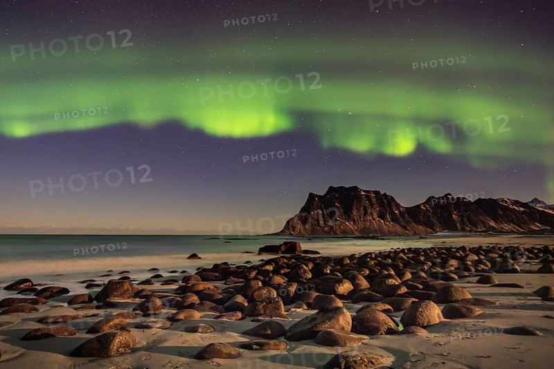Aurora borealis in green colors over mountain range and coastline at night, Lofoten, Norway