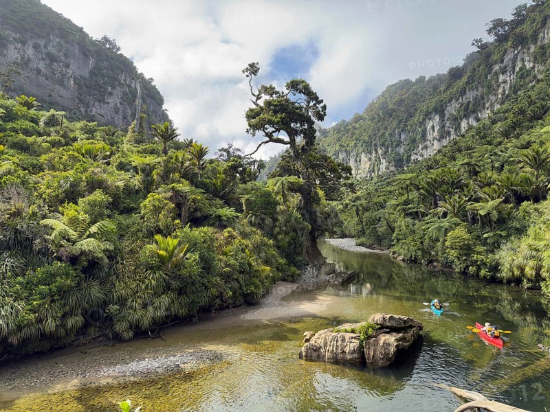 Paddle boats on the Pororari River Track, Paparoa National Park, South Island, New Zealand, Oceania