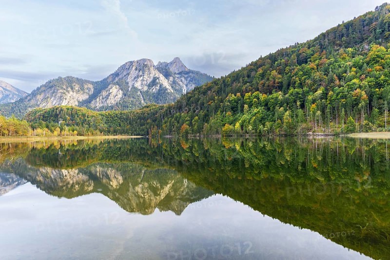 Schwansee, near Hohenschwangau, Romantic Road, behind it the Pilgerschrofen and the Säuling, Ammergau Alps, Ostallgäu, Bavaria, Germany
