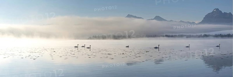 Sunrise at Lake Hopfensee near Füssen, with the Tegelberg massif and the Säuling behind it, Ostallgäu, Allgäu, Upper Swabia, Swabia, Bavaria, Germany