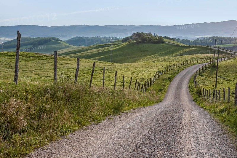 A winding country lane leads through rolling green hills with fences, while the morning mist shrouds the landscape, Tuscany, Italy