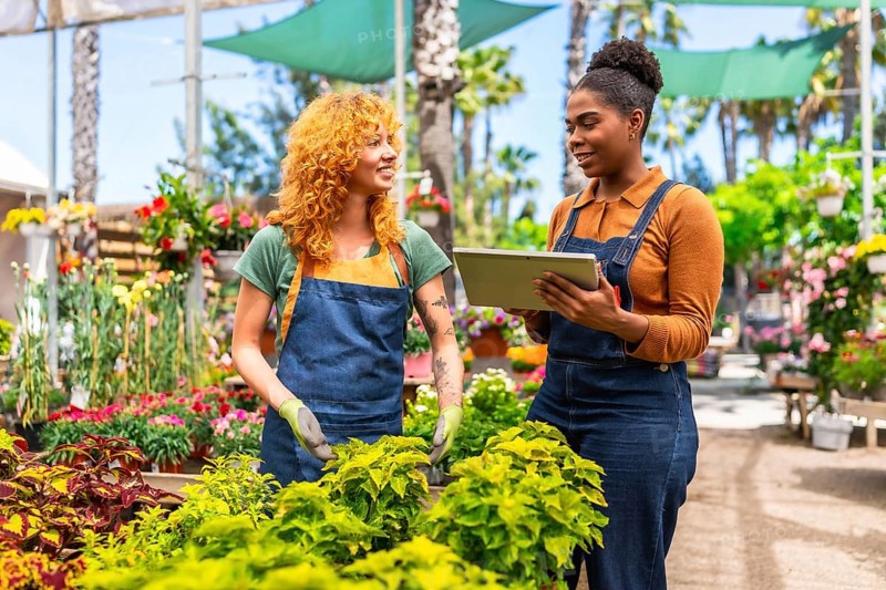 Two female garden center workers are discussing inventory and plant care using a digital tablet in a greenhouse or plant nursery