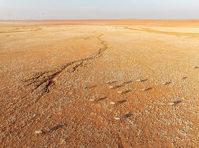 Gemsbok (Oryx gazella). Roaming an arid plain at the edge of the Namib Desert. Aerial view. Drone shot. Namibia