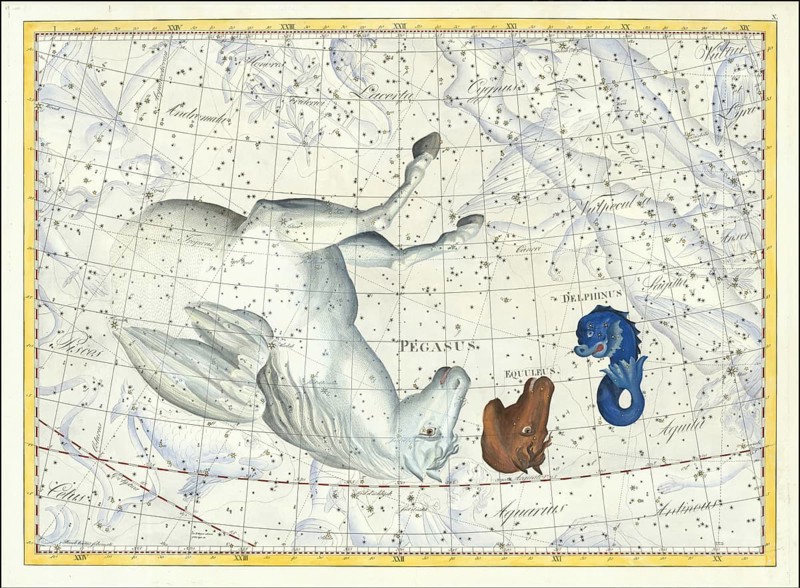 Zodiac sign, constellation, Pegasus, dolphin, star chart, universe, astrology, horoscope, after Johann Elert Bode (19 January 1747 to 23 November 1826), Prussian astronomer