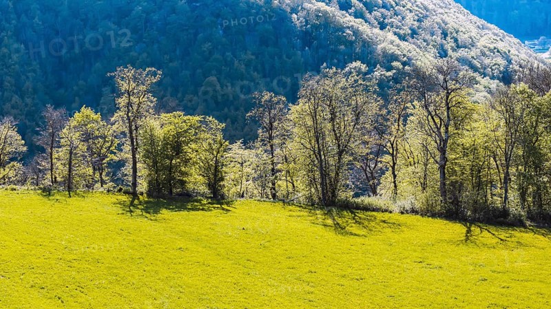 Backlit landscape near Gutenberg. Mountains and forest on the Albtrauf of the Swabian Alb in spring. Lenningen, Baden-Württemberg, Germany