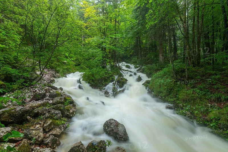 Roaring Weißbach after heavy rain near Inzell in the Alps