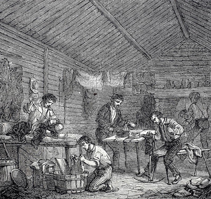Gold prospector, view into the hut of a gold digger in California, around 1860, America, digitally enhanced reproduction of a 19th century model, historical, exact date unknown