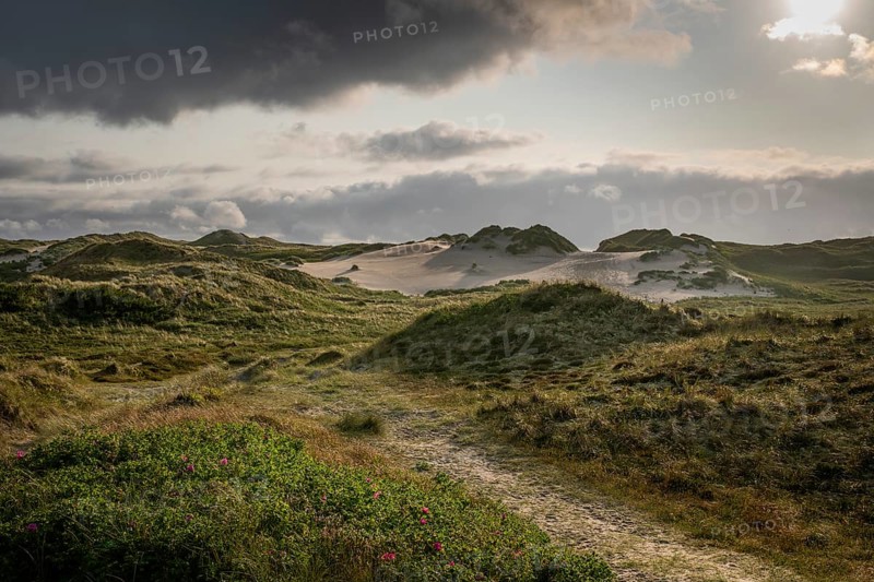 A narrow sandy path leads through a grassy landscape with dunes and dark clouds, near Hvide Sande, Jutland, Denmark