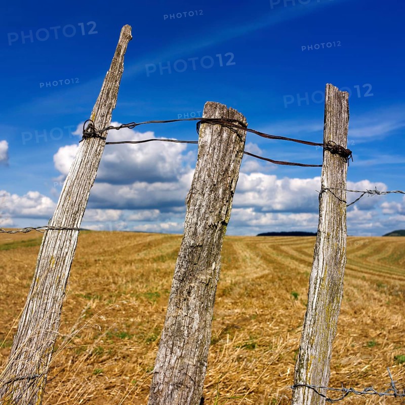 Three weathered wooden posts rise above a golden field, surrounded by a vast landscape and dotted clouds. This tranquil setting captures the beauty of rural France