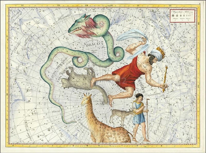 Sign of the zodiac, little bear, dragon, Cepheus, star chart, universe, astrology, horoscope, after Johann Elert Bode (19 January 1747 to 23 November 1826), Prussian astronomer