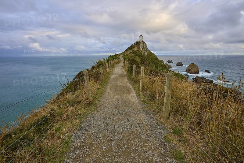 A path leads to a lighthouse on the top of rocky cliffs above the sea, summer, Nugget Point lighthouse, Ahuriri Flat, Otago, South Island, New Zealand