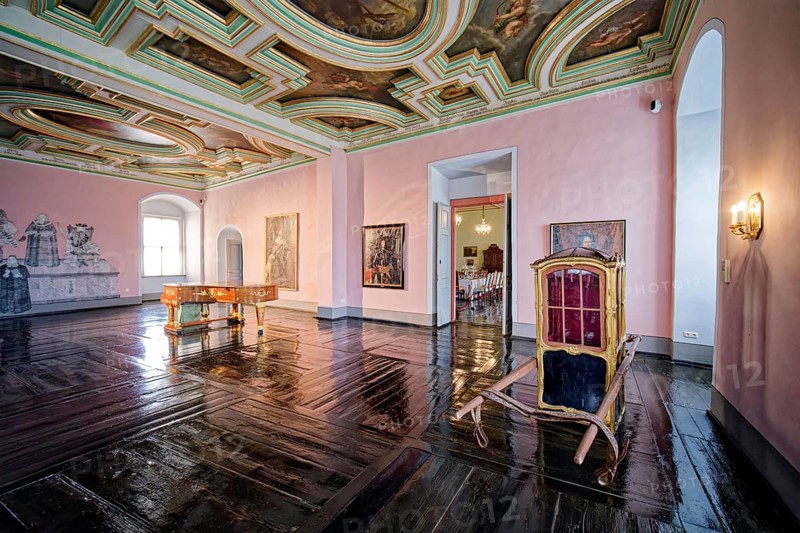 Panelled chamber with valuable historical coffered ceiling, Museum Zeitzer Schloss Moritzburg, early baroque style, interior view, Zeitz, Saxony-Anhalt, Germany
