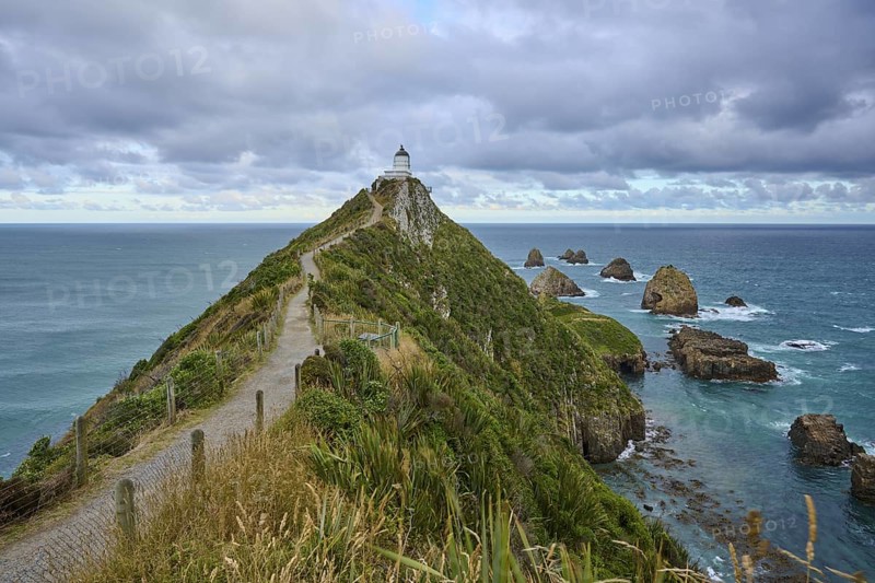 A path stretches to a lighthouse along the green coast with sea views, summer, Nugget Point Lighthouse, Ahuriri Flat, Otago, South Island, New Zealand