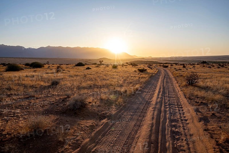 Sandy track, desert landscape in the evening light at sunset, backlit, Brandberg, Erongo, Damaraland, Namibia