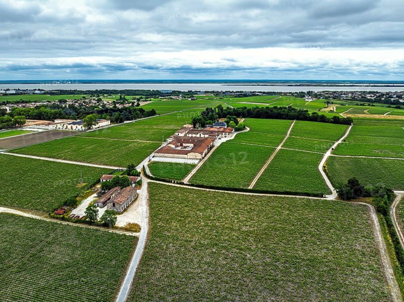 Chateau Pontet-Canet Vineyard and grape fields around Pauillac and Gironde Estuary from a drone, Bordeaux, Gironde, Nouvelle-Aquitaine, France