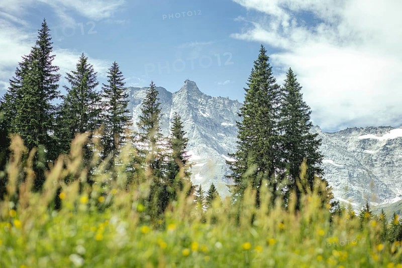 View of the Hoher Sonnblick, Rauris, Pinzgau, Salzburg, Austria