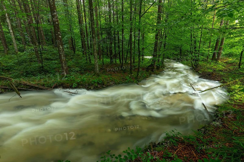 Roaring Weißbach after summer rain near Inzell-