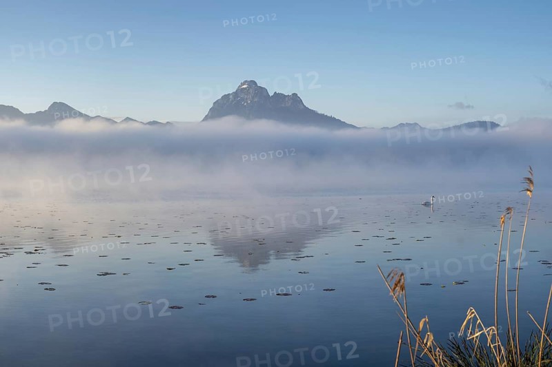 Sunrise at Lake Hopfensee near Füssen, with the Tegelberg massif and the Säuling behind it, Ostallgäu, Allgäu, Upper Swabia, Swabia, Bavaria, Germany