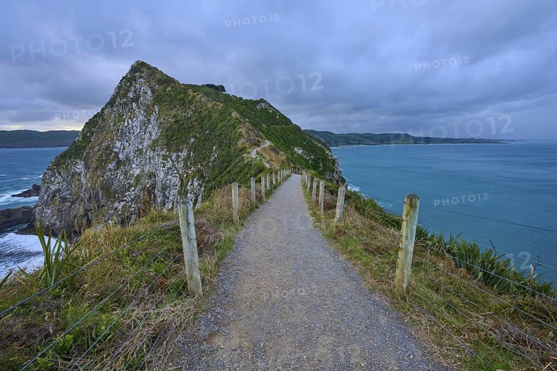 A narrow path leads along a cliff with a view of the stormy sea, summer, Nugget Point lighthouse, Ahuriri Flat, Otago, South Island, New Zealand