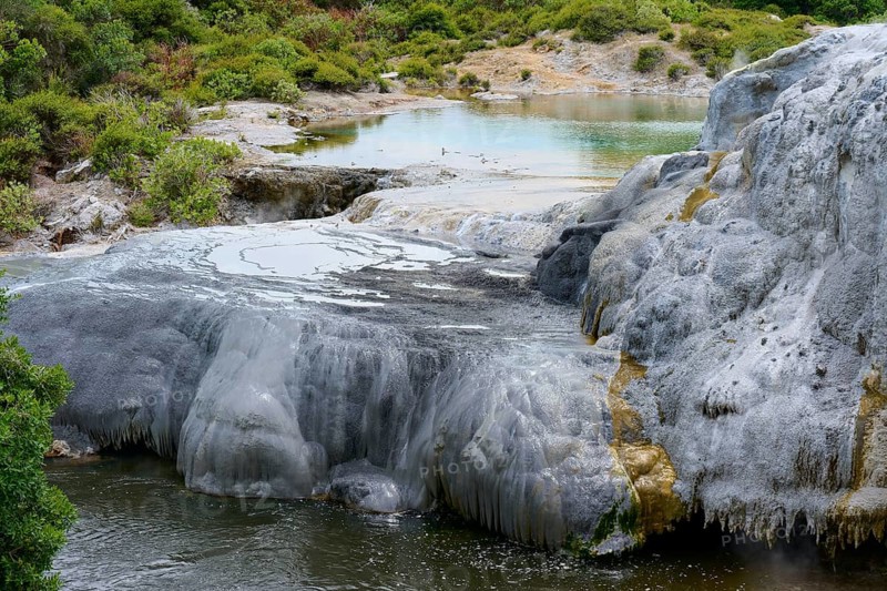White mineral deposits and rock formations surround a geothermal spring with clear water and dense vegetation, Te Puia, Whakarewarewa, Rotorua, New Zealand