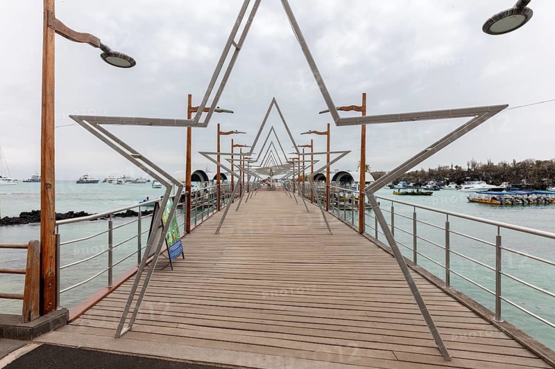 Harbour, Santa Cruz, Galapagos, Ecuador