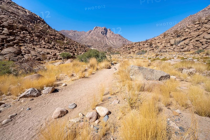 Tsisab Gorge, White Lady Trail, desert landscape with mountains, Brandberg, Erongo, Damaraland, Namibia