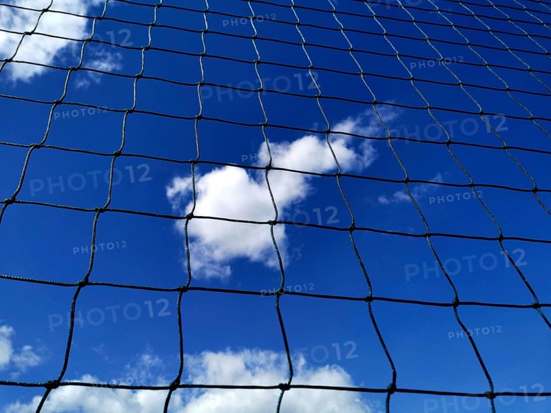 Looking up at a blue sky filled with clouds, framed by a black net. The sunlight highlights the delicate mesh against the vibrant sky during a clear day