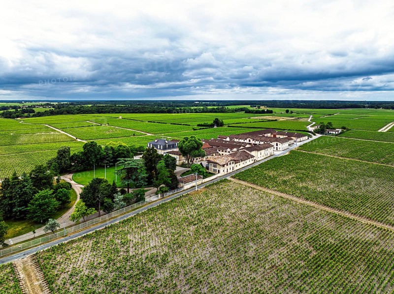 Chateau Pontet-Canet Vineyard and grape fields around Pauillac and Gironde Estuary from a drone, Bordeaux, Gironde, Nouvelle-Aquitaine, France
