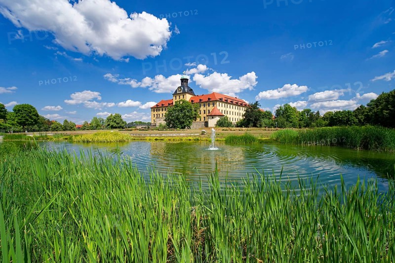 Johannisteich, castle park, Museum Zeitzer Schloss Moritzburg, early baroque style, water reflection, Zeitz, Saxony-Anhalt, Germany