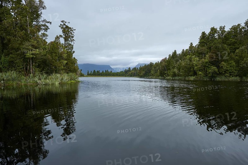 A lake with small waves and dense trees, against a grey sky, summer, Lake Matheson, Fox Glacier, South Island, New Zealand