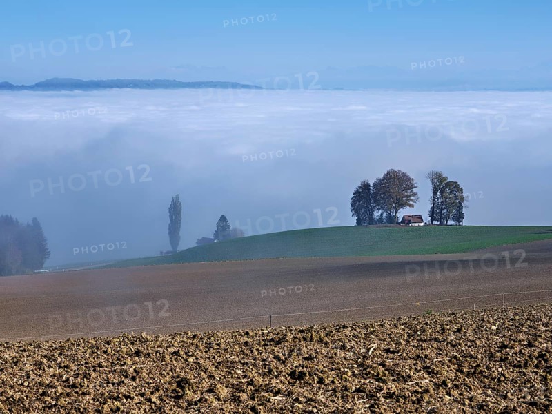 View from Schlatt to the sea of fog over the Reuss valley, Freiamt, Canton Aargau, Switzerland