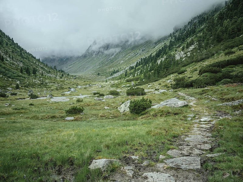 Historic mule track, Windbachtal, Krimmler Tauern, Pinzgau, Salzburg, Austria
