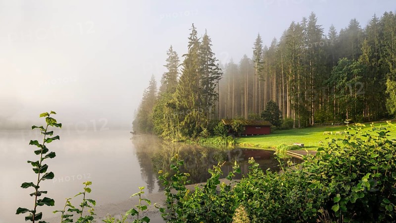 Lake Blaibach on a misty morning with sunshine. Blaibach, district of Cham, Upper Palatinate, Bavarian Forest, Bavaria, Germany