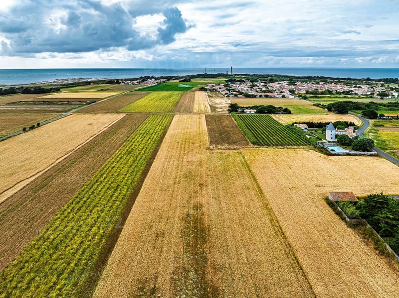 Fields and Grape plantations from a drone, Saint-Clement-des-Baleines, Atlantic, France