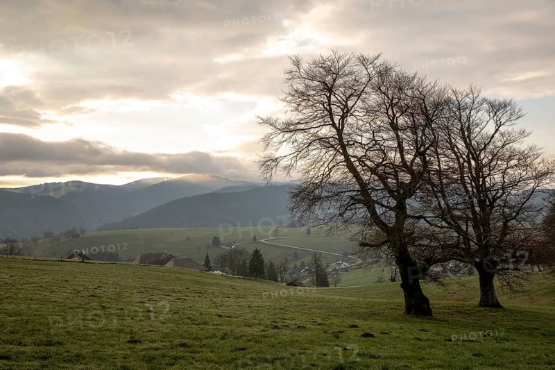 View from Schauinsland to the east with the mountains of the Black Forest in the morning, in the centre is the village of Hofsgrund, the Feldberg is still shrouded in fog, Oberried, Black Forest, Baden-Württemberg, Germany