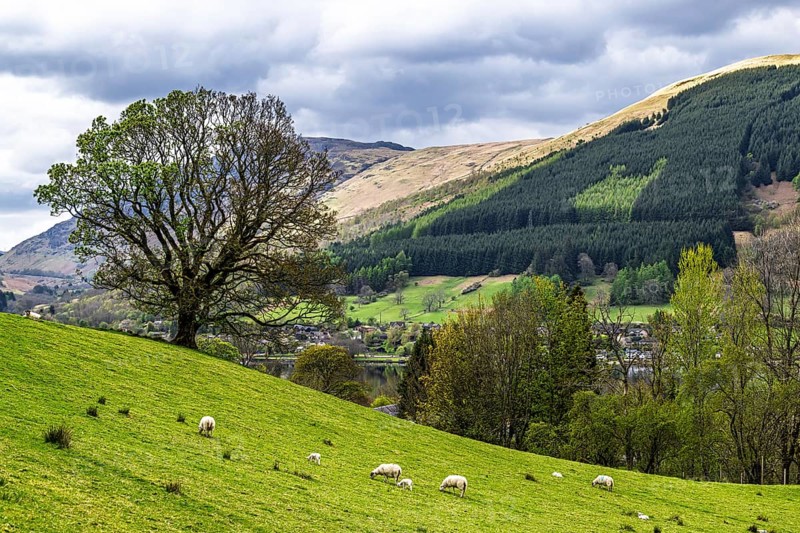 Farm and mountains, Loch Earn, Southern Highlands, Scotland, United Kingdom