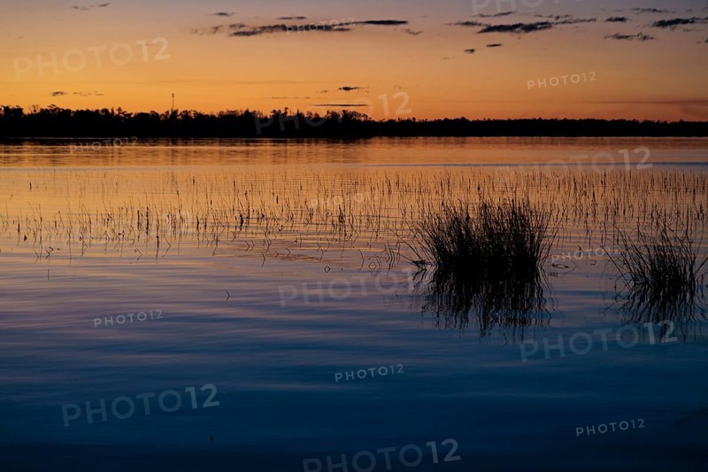 Marsh foliage silhouetted against a deep blue and orange sky at sunset on Lake Seminole at the Corps of Engineers Eastbank Campground near the Florida state line in Georgia