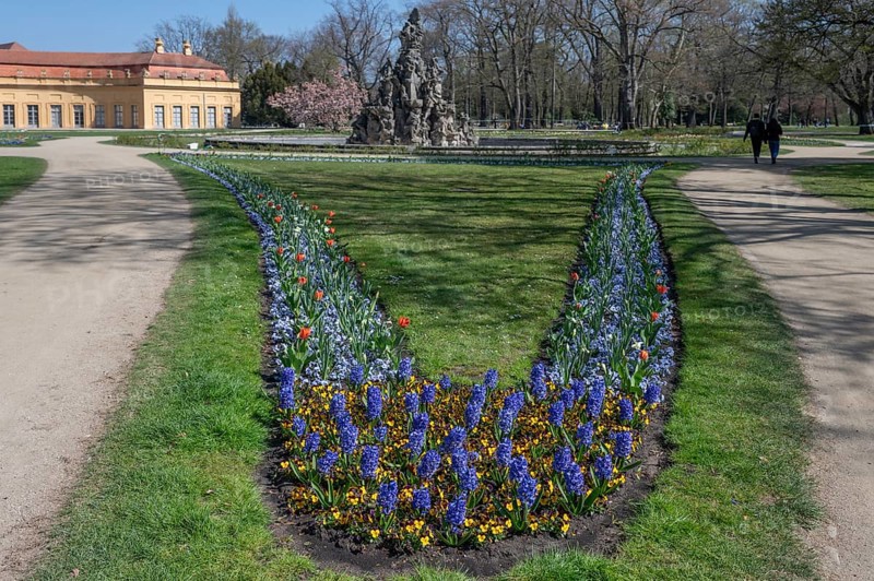 Planted spring beds in the palace park, behind the Huguenot fountain from 1706, Erlangen, Middle Franconia, Bavaria, Germany