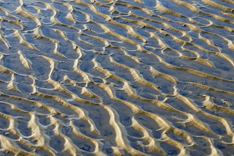 North Sea, Wadden Sea at low tide, wave-like structure, current ripples, Norddeich, Lower Saxony, Germany