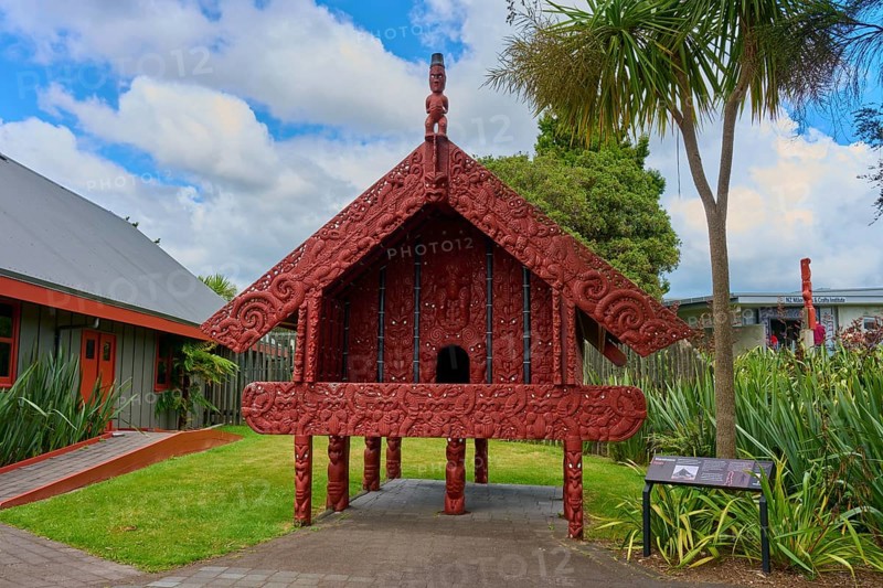Small Maori building with red carvings surrounded by palm trees, New Zealand Maori Arts and Crafts Institute, Te Puia, Whakarewarewa, Rotorua, North Island, New Zealand