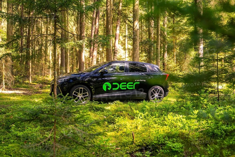 Black car with green stickers parked in a sunny forest, Deer E- Carsharing, Calw, Black Forest, Germany