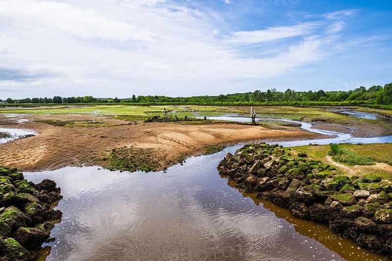 Marshes in La Teste-de-Buch, Arcachon, Gironde, France